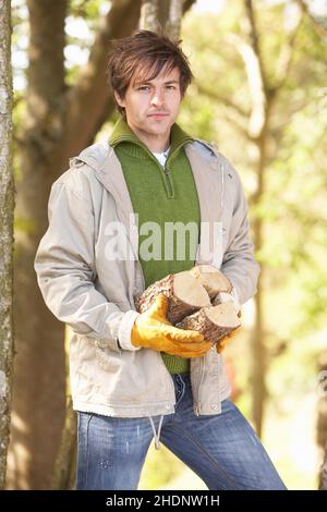 Junger Mann, sammeln, brennholz, Holz aussehen, Kerl, Mann, Mann, jung, Feuerholz Stockfoto