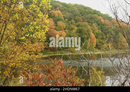 Herbstfarben entlang des Rückwassers des St. Croix River in Osceola, WI USA Stockfoto