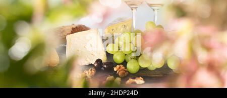Käse, Weißwein, Käse, Weißweine Stockfoto