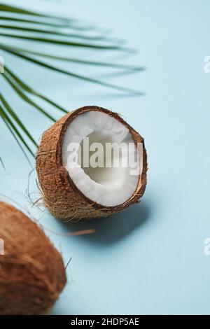 Kokosnuss, Kokosnüsse Stockfoto