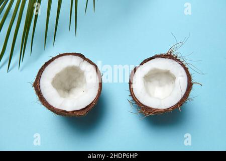Kokosnuss, Kokosmark, Kokosnüsse, Kokosnussmarken Stockfoto