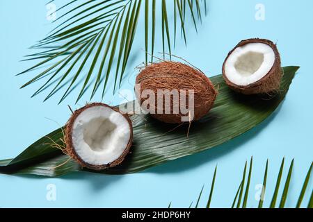 Fleisch, Kokosnuss, Fleisch, Kokosnüsse Stockfoto