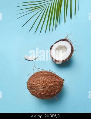 Kokosnuss, Kokosmark, Kokosnüsse, Kokosnussmarken Stockfoto