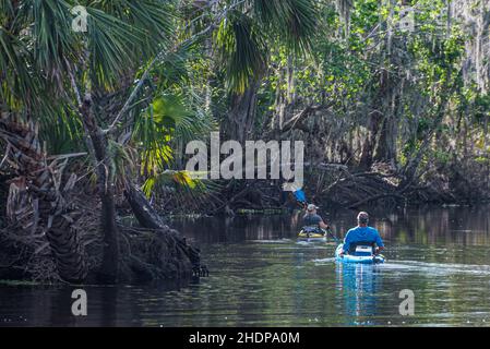 Paar Kajakfahren im St. Johns River in der Nähe des Blue Spring State Park in Volusia County, Florida. (USA) Stockfoto