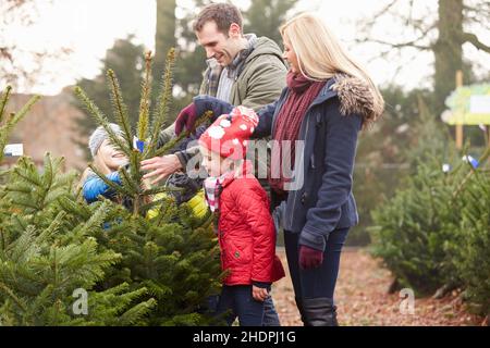 Familie, weihnachtsbaum, Familien, weihnachtsbäume Stockfoto