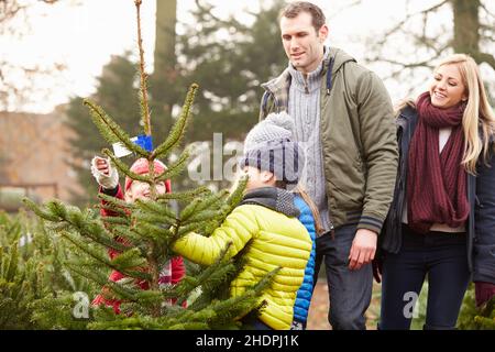 Familie, weihnachtsbaum, weihnachtsbaum Verkauf, Familien, weihnachtsbäume Stockfoto
