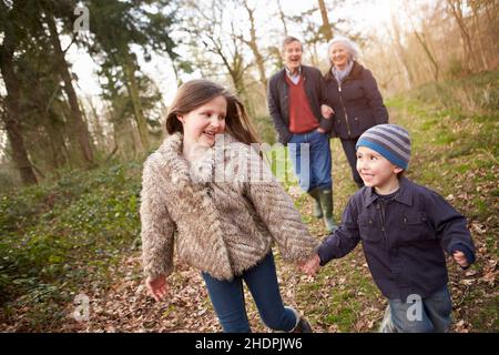 Großeltern, spazieren, Enkel, Großeltern, spazieren, Enkelkinder Stockfoto