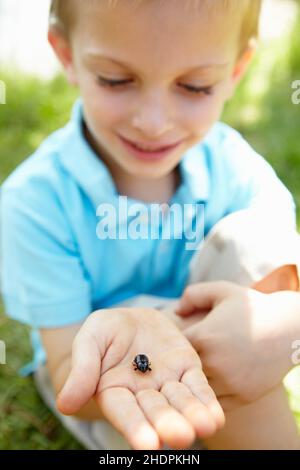 Junge, Natur, Beetle, jungen, Natur, Natur, Käfer Stockfoto