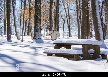 Winterlandschaft mit Schnee in Pennsylvania Stockfoto