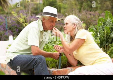 Kräuter, im Garten, Älteres Paar, Kräuter, Pflanzenpflege, Pflege von Pflanzen, ältere Paare Stockfoto