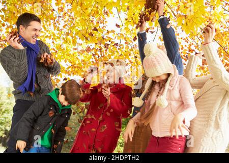 Herbstblätter, Familie, Überschwang, Blatt, Familien, Überschwang Stockfoto