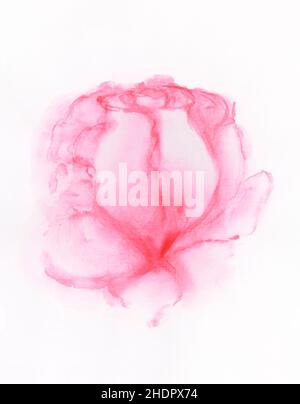 Aquarell Fine Art Malerei einer sanften rosa Rose Blume Seitenansicht in sanften Pastellfarben isoliert auf weißem Papier Hintergrund Stockfoto