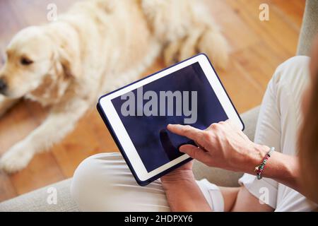 Frau, zu Hause, Touchpad, weiblich, Damen, frau, Frauen, Häuser Stockfoto