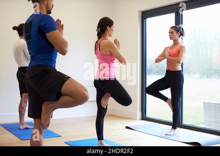 Yoga, Gymnastik, Fitness, Yogas, Bewegung, Training, Fitness-Studios, Pilates, Fitness-Club, Fitness-Clubs Stockfoto