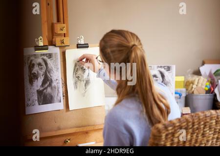 Hund, Zeichnung, vorbildlich, Hunde, Beispiele, Vorlage Stockfoto