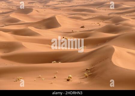 Wüste, Erg Chegaga, Wüsten, wüste Stockfoto