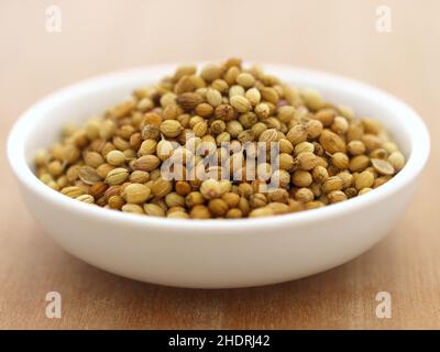 Koriander, Koriandersamen, Korianderkapsel, Koriander, Koriandersamen, Koriander-Kapseln Stockfoto