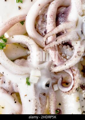 Tintenfisch, gekocht, Calamari, Kalmare, Kalmare, Schilf Stockfoto