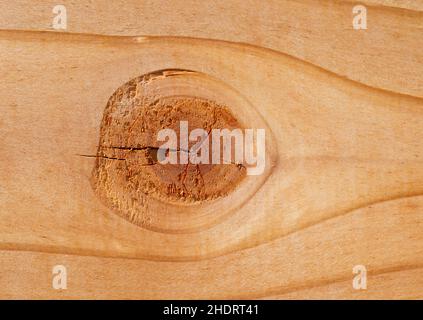 Holz, Holzmaserung, geknüpftes Holz, Wald, Wald, Hölzer, Holzkörner, verknotete Hölzer Stockfoto