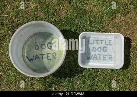 Wasserschalen für Hunde, southwold, suffolk, england Stockfoto
