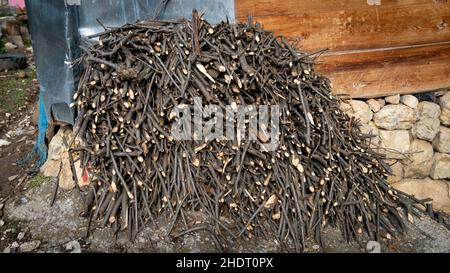 In einem Lagerhof gelagerte Holzbaumbäste. Diese Äste werden im Winter abgedrosselt und gespeichert, um in einem Ofen zu verbrennen. Stockfoto