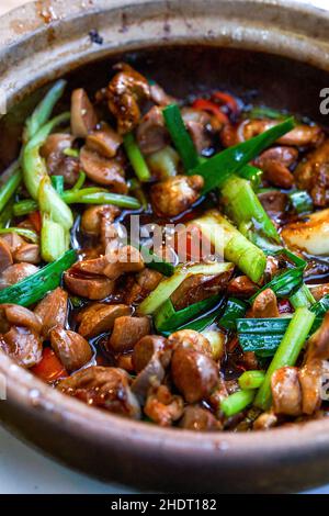 Ein Topf mit köstlichen authentischen traditionellen kantonesischen Gerichten in Chilipot, Huhn in Chilipot gemischt Stockfoto