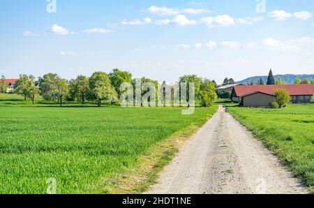 Ländliche Szene, Schmutz, hohenlohe, Land, Landleben, Ländliche, ländliche Szenen, Dirts, Drecks, Hohenlohes Stockfoto