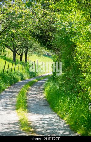 Landschaft, Schmutz, Landschaften, ländlich, ländliche Szene, Szene, Landschaft, Szenen, Dirts, Drets Stockfoto