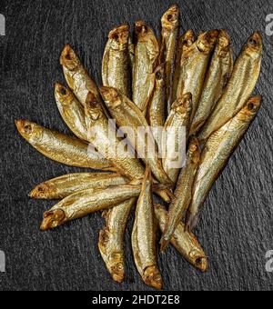 Sprotten, Sprossen, rigaer Sprossen Stockfoto