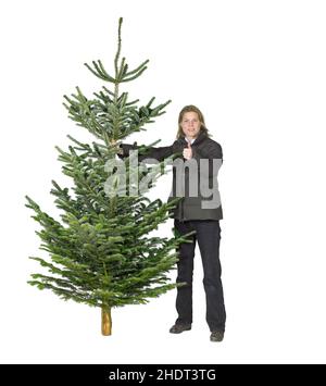 weihnachtsbaum, Daumen hoch, weihnachtstradition, weihnachtsbäume, Daumen hoch, Weihnachtstraditionen Stockfoto