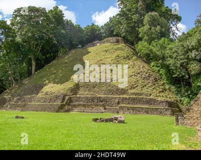 maya-Tempel, belize, Caracol, maya-Tempel Stockfoto