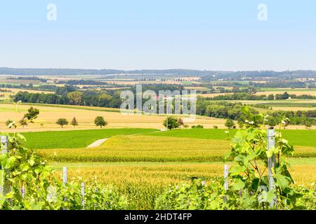 Kulturlandschaft, hohenlohe, Kulturlandschaften, Landschaft, Landschaften, Hohenlohes Stockfoto