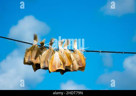 Getrocknete Fische, Stockfische, Flunder, getrocknete Fische, Stockfische, Plattfisch, Flunder Stockfoto