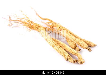 Ginseng, getrocknetes Gemüsekraut. Gesunde Lebensmittel berühmte Exportnahrungsmittel in Korea Land isoliert auf weißem Hintergrund. Stockfoto