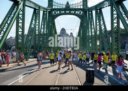 budapest, Freiheitsbrücke, budapests, Freiheitsbrücken Stockfoto