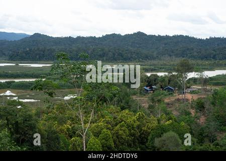 Luftaufnahme einer kleinen Siedlung indigener Völker am Ufer des Chini-Sees in Pahang Stockfoto