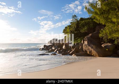 Strand, Bucht, seychellen, anse Georgette, Strände, Meer, Buchten Stockfoto