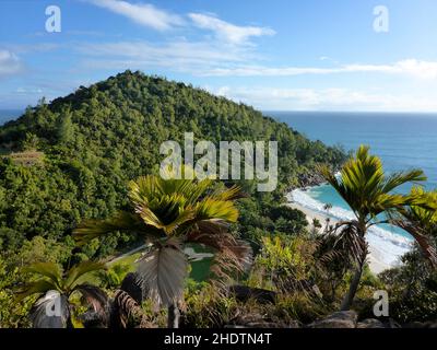 Vegetation, seychellen, praslin, anse Georgette, Vegetationen, Praslins Stockfoto