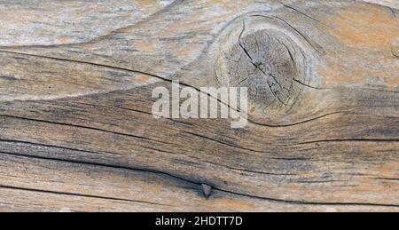 Holzmaserung, geknüpftes Holz, Holzmaserung, verknotete Hölzer Stockfoto