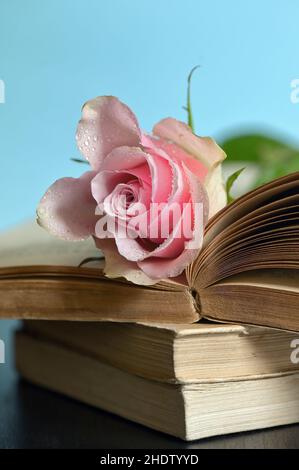 Literatur, Roman, Liebesbuch, Literaturen, Romane, Liebe Bücher, Liebesroman, Romantik Stockfoto