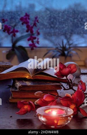 Winterzeit mit Kerze auf Stapel alter Bücher. Sonnenuntergangsfenster mit orangefarbenem Glanz, rosa und fuchsiafarbenen Orchideen und Magnolienblüten, Teekerze. Romantisch Stockfoto