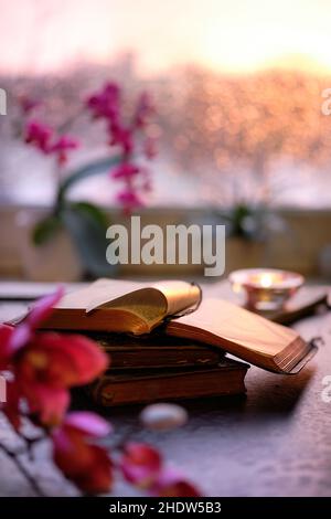 Winterzeit mit Kerze auf Stapel alter Bücher. Sonnenuntergangsfenster mit orangefarbenem Glanz, rosa und fuchsienfarbenen Orchideen und Magnolienblüten. Aromatische Kerzen, Tee Stockfoto