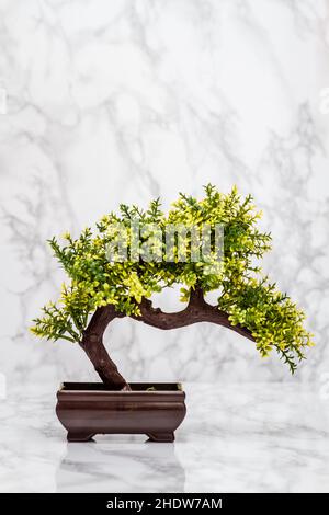Künstlich, Bonsai-Baum, Künstliche, Bonsai, Bonsai-Bäume Stockfoto