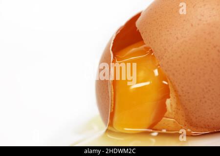 Eigelb, rohes Ei, Eigelb, rohe Eier Stockfoto