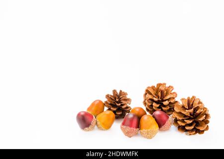 Eicheln, Tannenzapfen, Waldfrüchte, Tannenzapfen Stockfoto