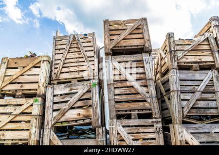 Behälter, Recycling, Glas, Wein, Behälter, Recycling, Glaswaren, zerbrochenes Glas, Weine Stockfoto