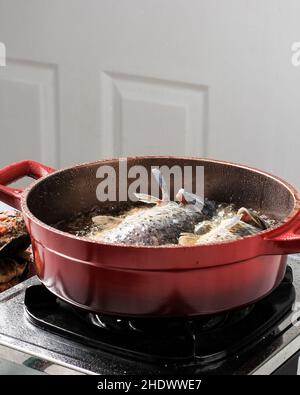 Prozess des Frierens von Flusskarpfen-Fischen in einer roten Bratpfanne. Flusskarpfen Fisch. Stockfoto