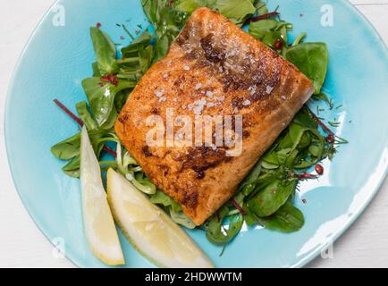 Speisekombination, Lachsfilet, Lachsfilets Stockfoto