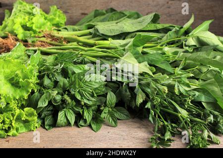 Frisches grünes Gemüse, süßes Basilikum, Morning Glory (Kangkung), Sellerie und Leetuce Stockfoto