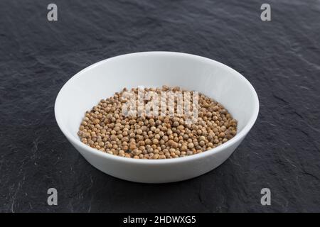 Koriander, Koriandersamen, Koriandersamen, Koriandersamen Stockfoto